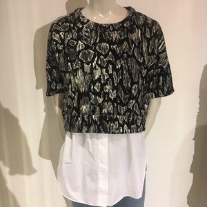 10 Crosby Derek Lam 2 piece top